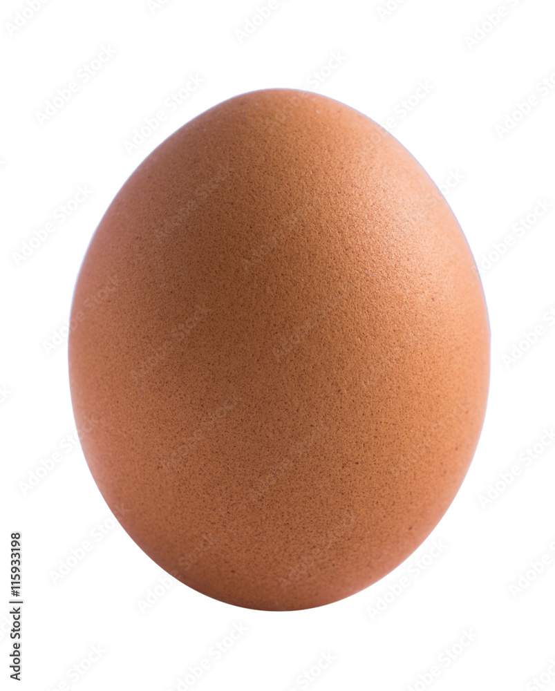 Chicken egg close up isolated on white background. Chicken egg close up isolated on white background.