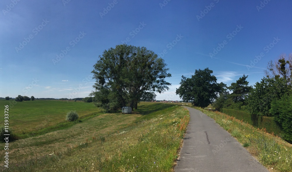Fototapeta premium Elberadweg auf einem Deich