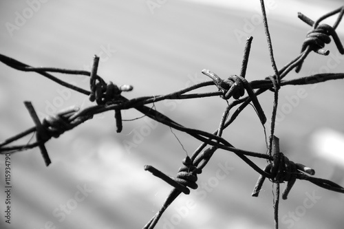 Twisted barb wire spikes in grayscale