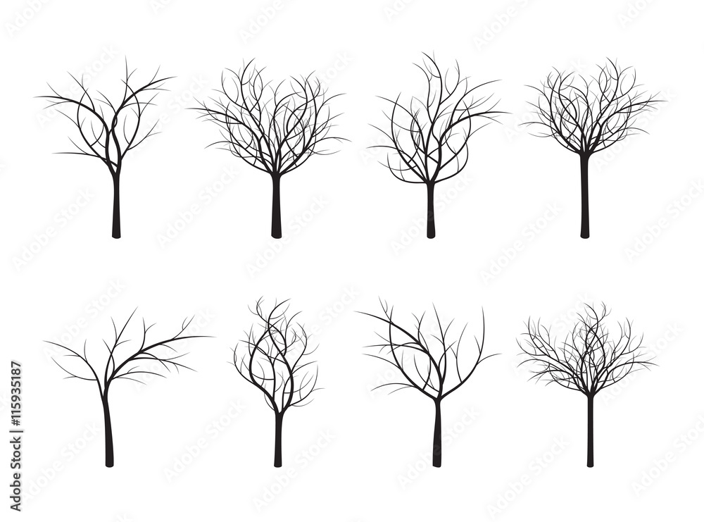 Obraz premium Set of Black Trees. Vector Illustration.