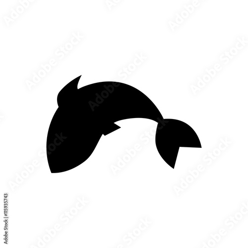 Fish jumping in water