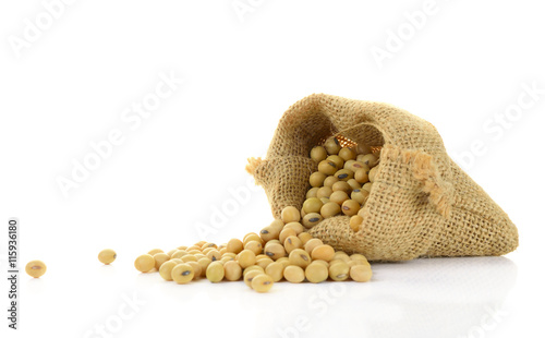 soy bean isolated on white background