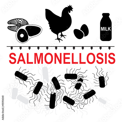 Salmonella typhimurium and salmonellosis transmission