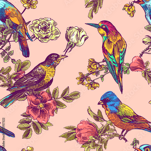 hand drawn bird