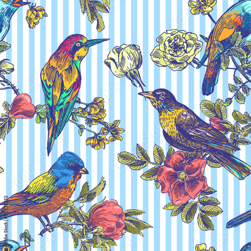 hand drawn bird