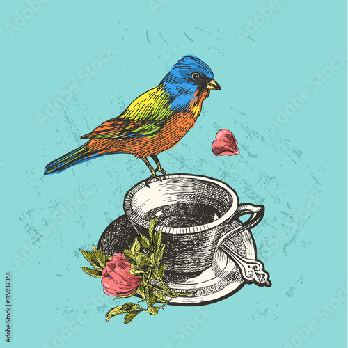 hand drawn bird