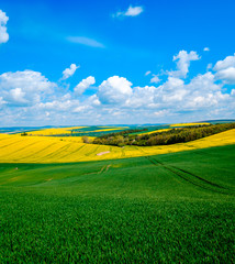 Fotobehang Groen Wavy meadows spring landscape in South Moravia, Czech Republic  © Anton Gvozdikov