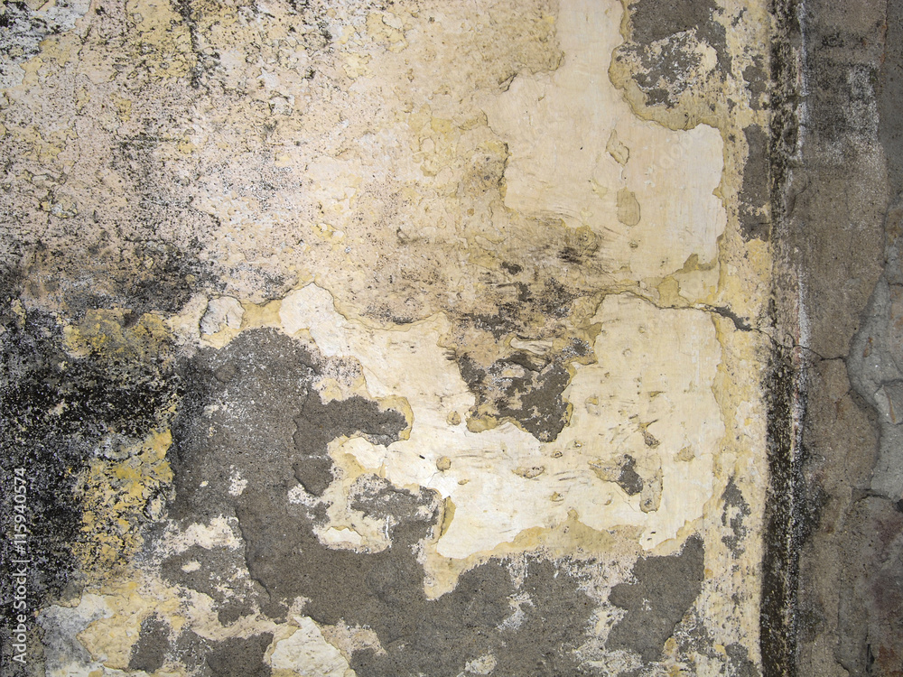 Fototapeta premium Wall 0528