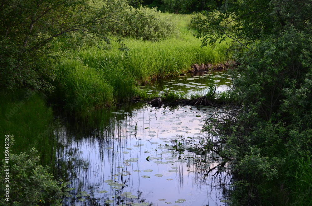 small river small river