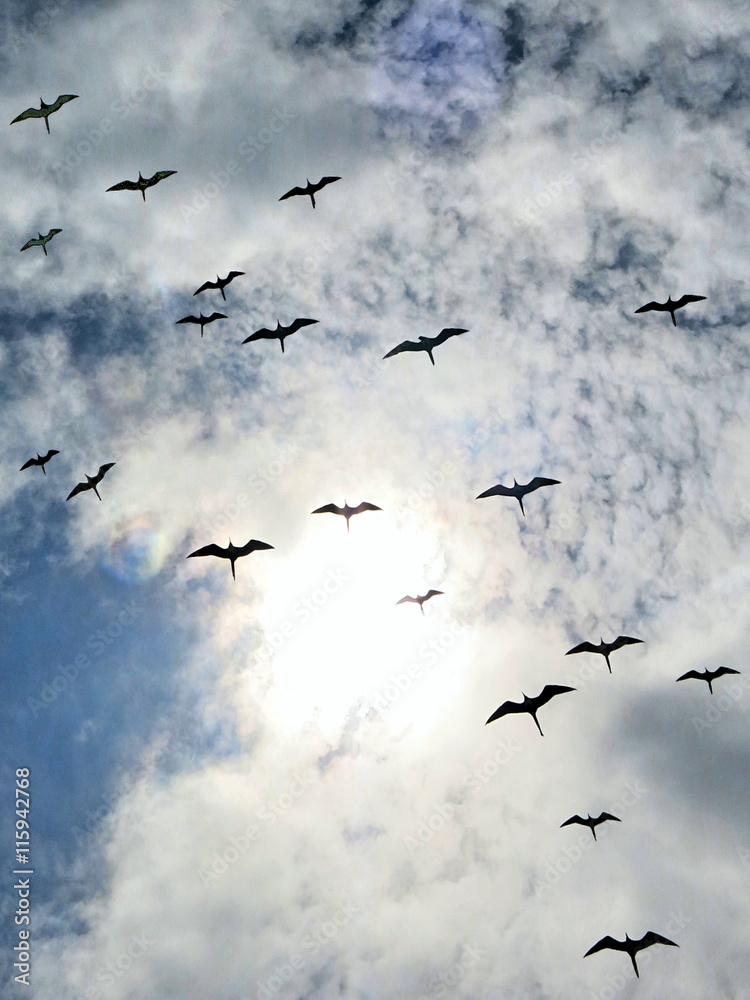 Fototapeta premium Isla Mujeres