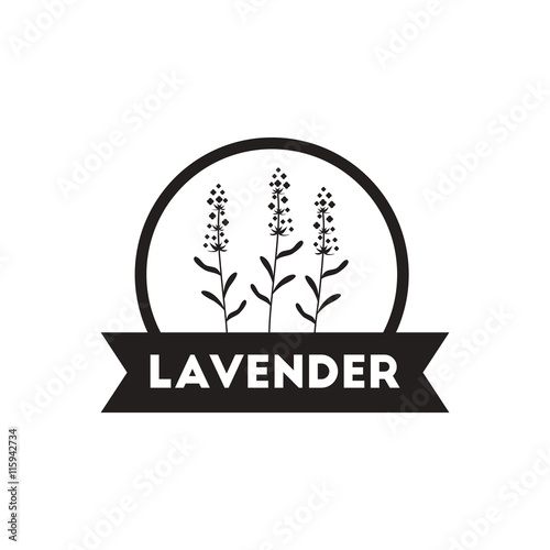 black vector icon on white background Kitchenware seasoning lavender