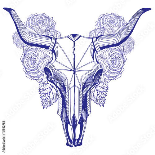 Bull skull and roses graphic pen