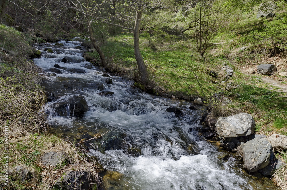 Beautiful motion blurred water stream landscape in the green forest, Vitosha mountain, Bulgaria Beautiful motion blurred water stream landscape in the green forest, Vitosha mountain, Bulgaria
