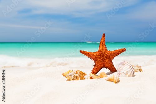 Starfish on the white sandy beach