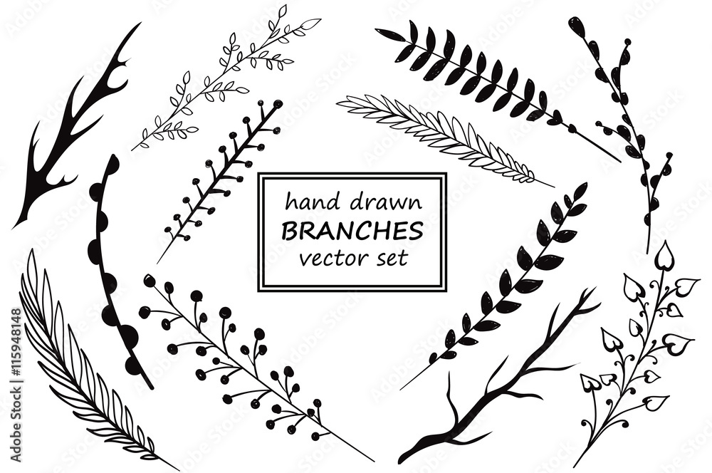 Fototapeta premium Set of hand drawn branches. Ink illustration.