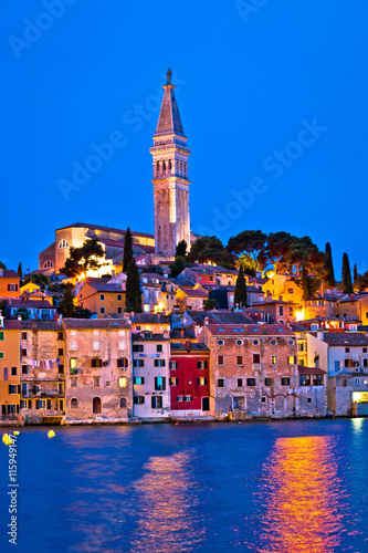 Town of Rovinj evening vertical view