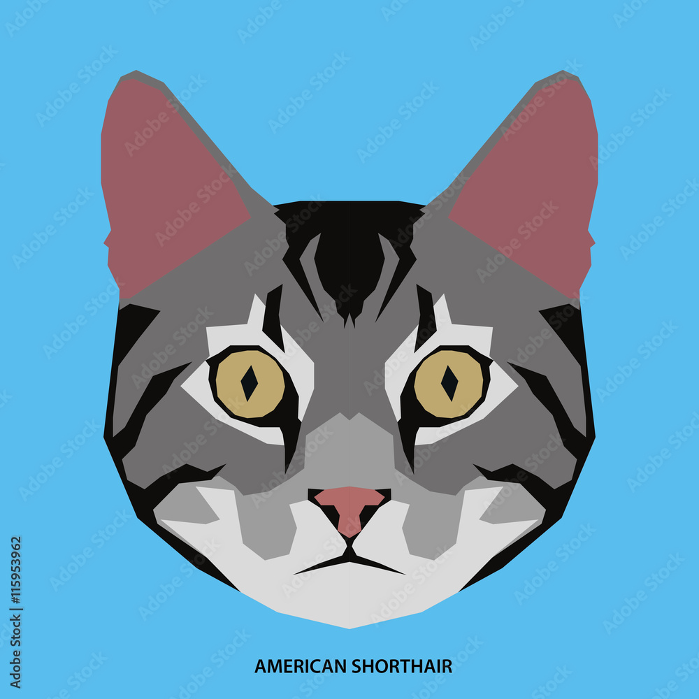 Fototapeta premium Cat breed, vector illustration