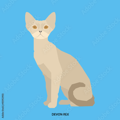 Cat breed, vector illustration