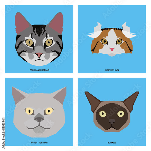 Fototapeta Naklejka Na Ścianę i Meble -  Set of cat breeds, vector illustration