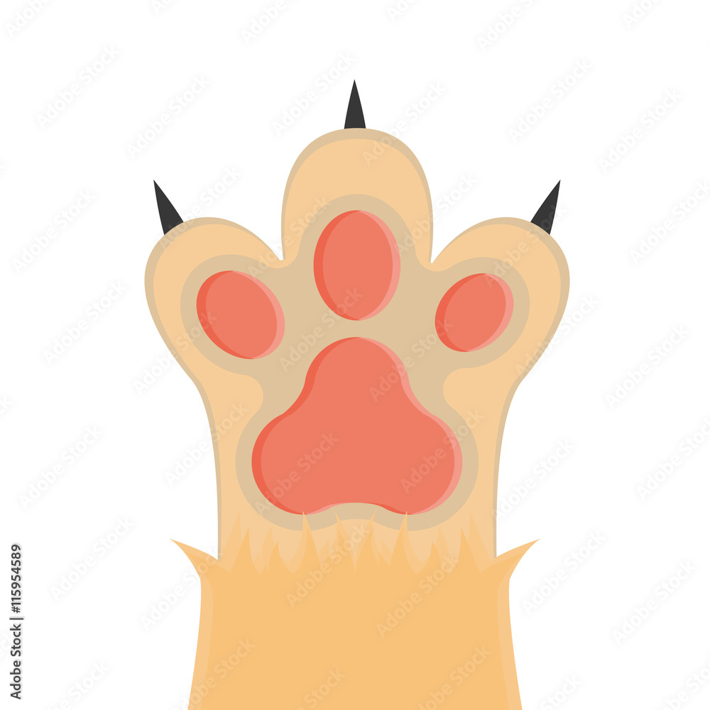 Fototapeta premium Cat paw, vector illustration