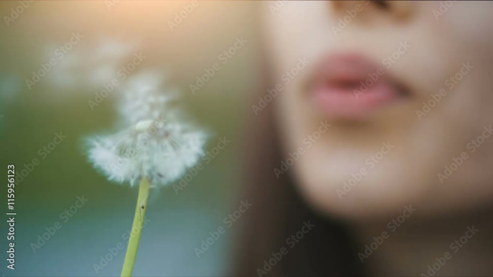 Lips of a woman Blowing on a Dandelion