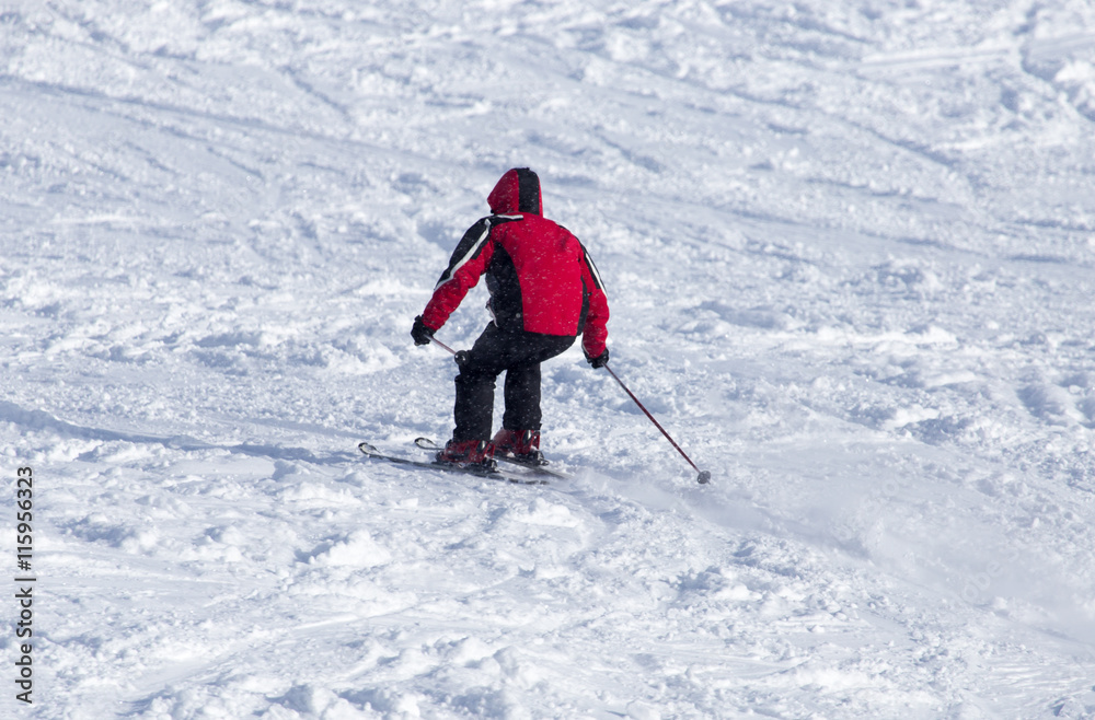 people skiing in the winter people skiing in the winter