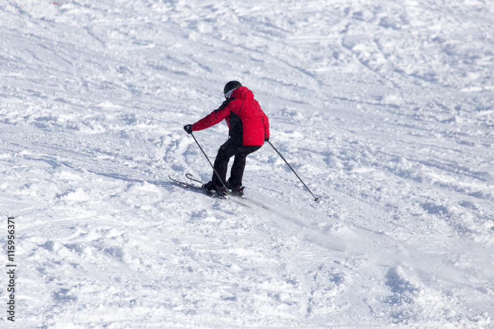 people skiing in the winter