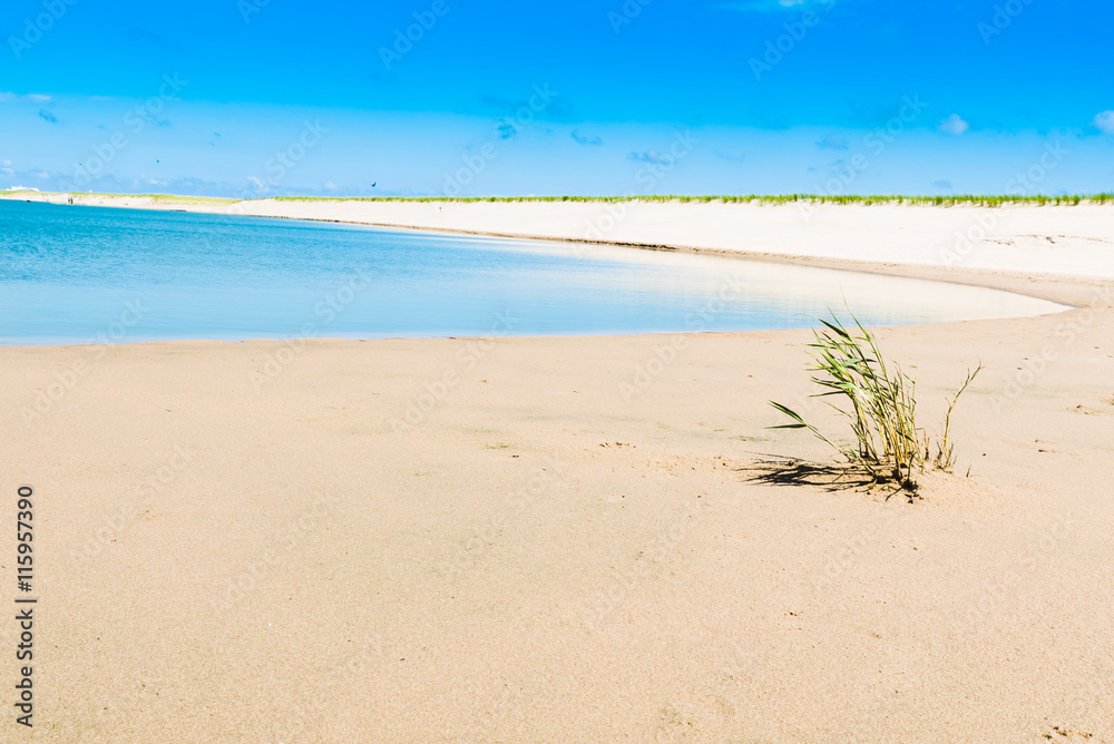 Beautiful Beach scene / A wonderful deserted beach scene Beautiful Beach scene / A wonderful deserted beach scene