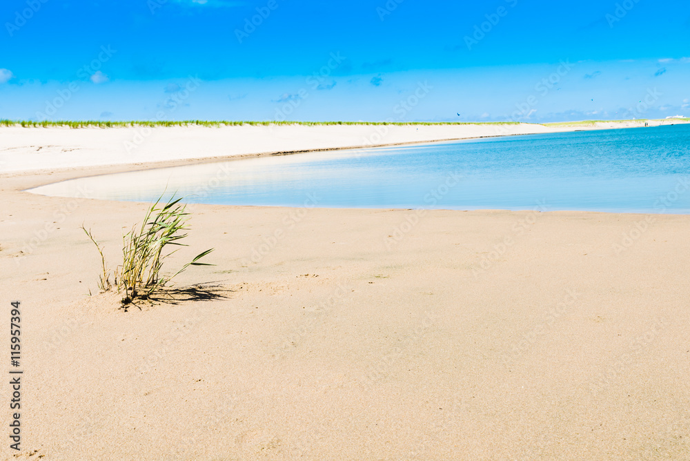 Beautiful Beach scene / A wonderful deserted beach scene Beautiful Beach scene / A wonderful deserted beach scene