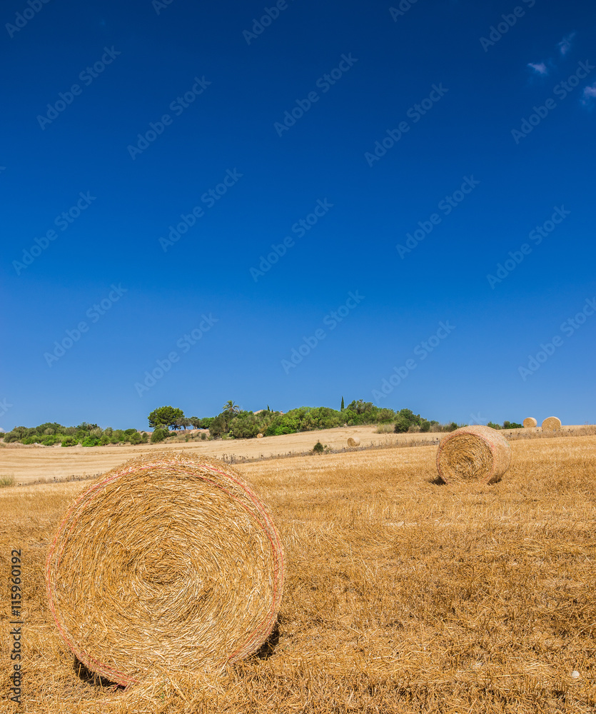 Summer Farmland field with bales of straw 