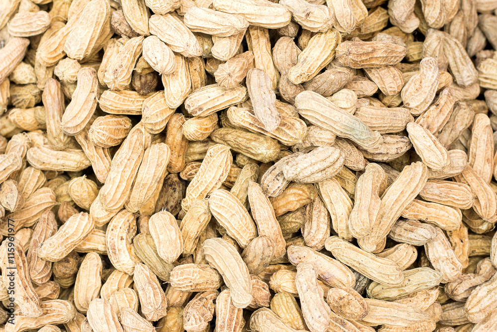 Many peanuts in shells, one upon the other Many peanuts in shells, one upon the other