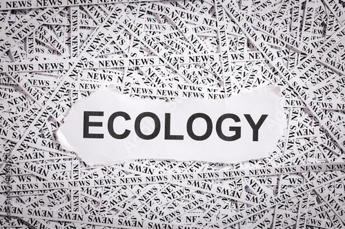 Closeup torn pieces and tapes of paper with the word ECOLOGY.
