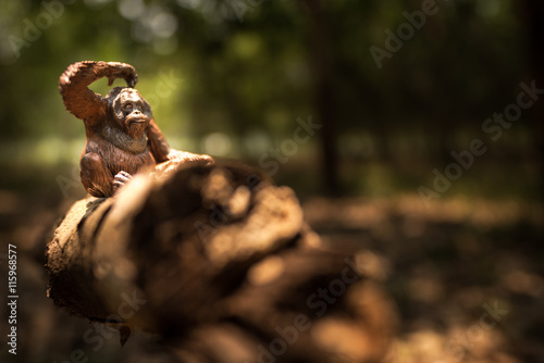 Orangutan  miniature  figure  nature.