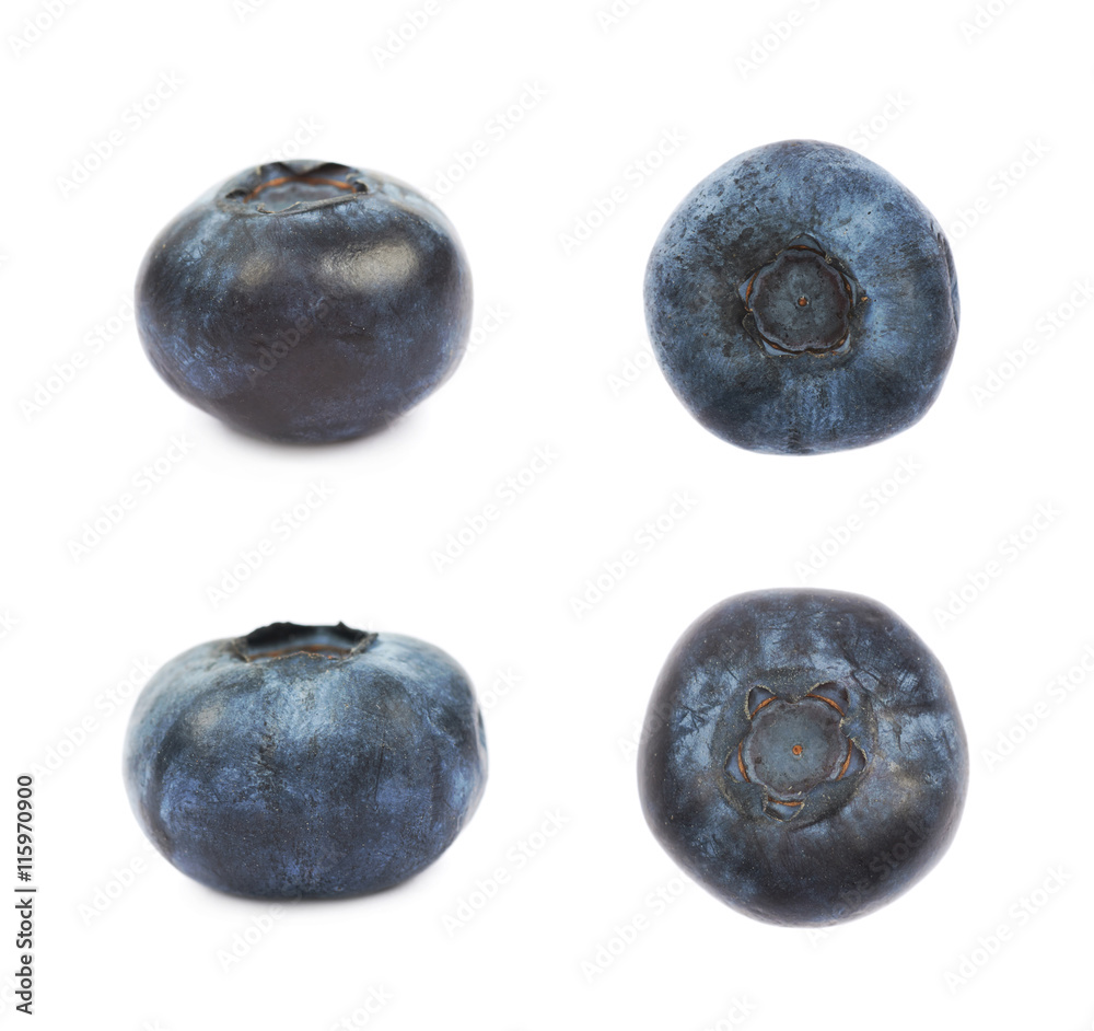 Obraz premium Single ripe bilberry isolated