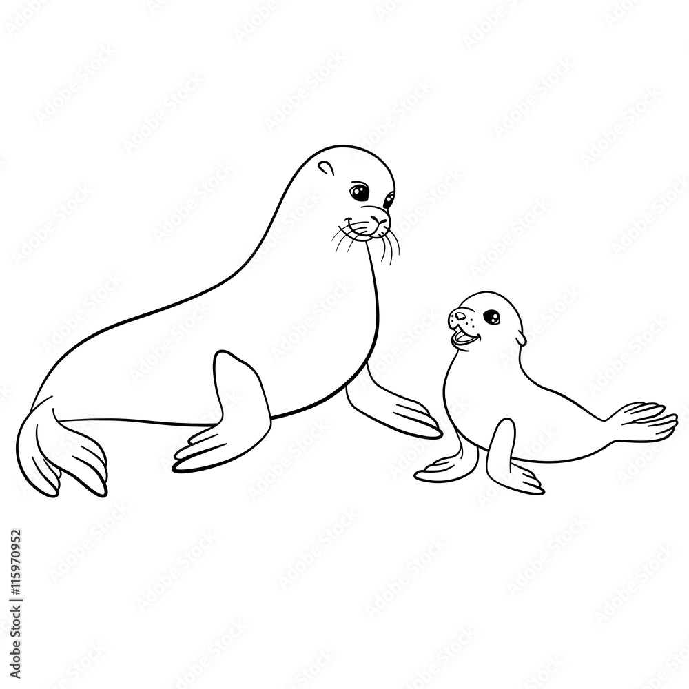 Coloring pages. Mother fur seal with her cute baby. Coloring pages. Mother fur seal with her cute baby.