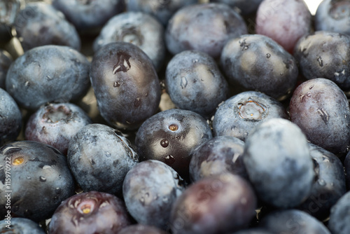 Surface coated with bilberries