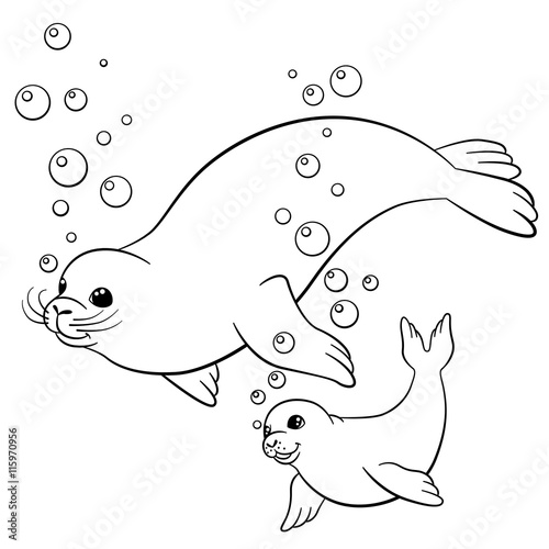 Coloring pages. Mother fur seal with her little cute baby.