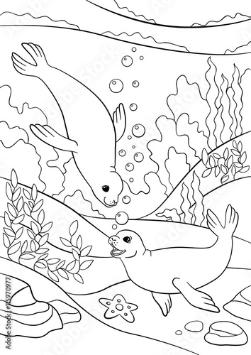 Coloring pages. Two little cute seals swim and smile.