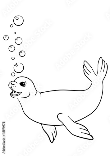 Coloring pages. Little cute seal swims.