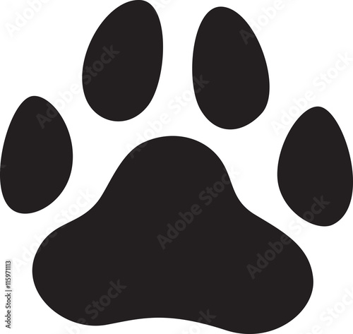 犬　肉球