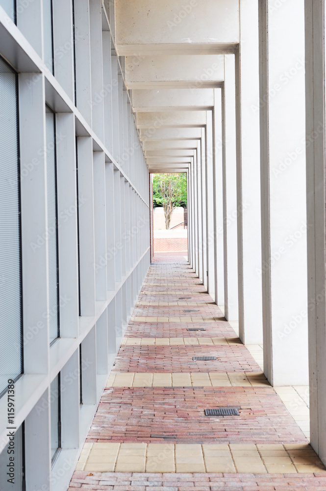 Fototapeta premium perspective view of corridor outside office building, vertical composition