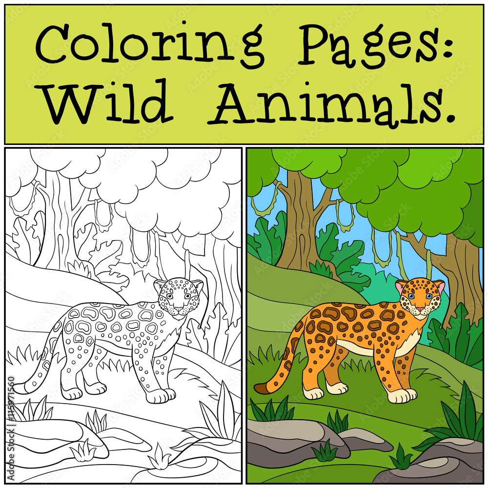Fototapeta premium Coloring Pages: Wild Animals. Little cute jaguar smiles.