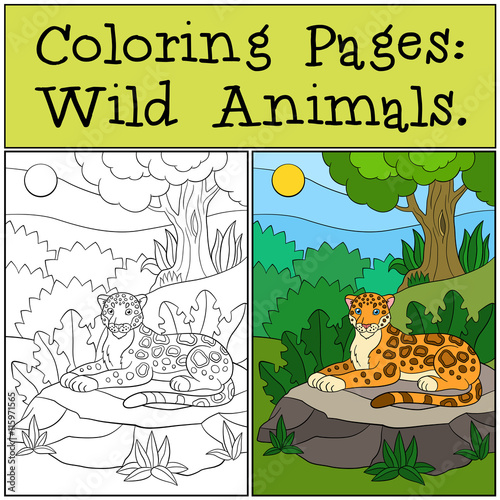 Coloring Pages: Wild Animals. Little cute jaguar in the forest.