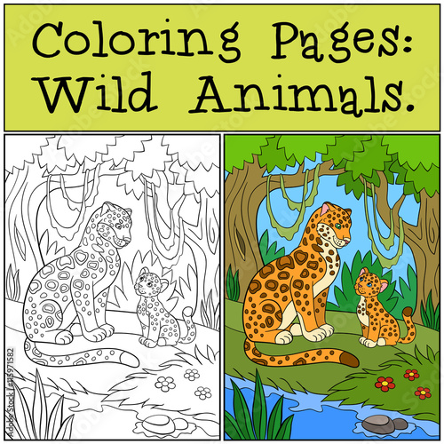 Coloring Pages: Wild Animals. Mother jaguar with her cub.