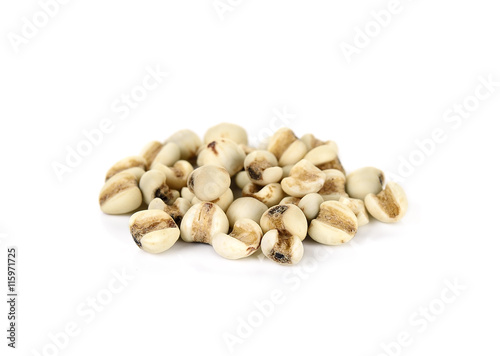 Millet rice , millet grains isolated