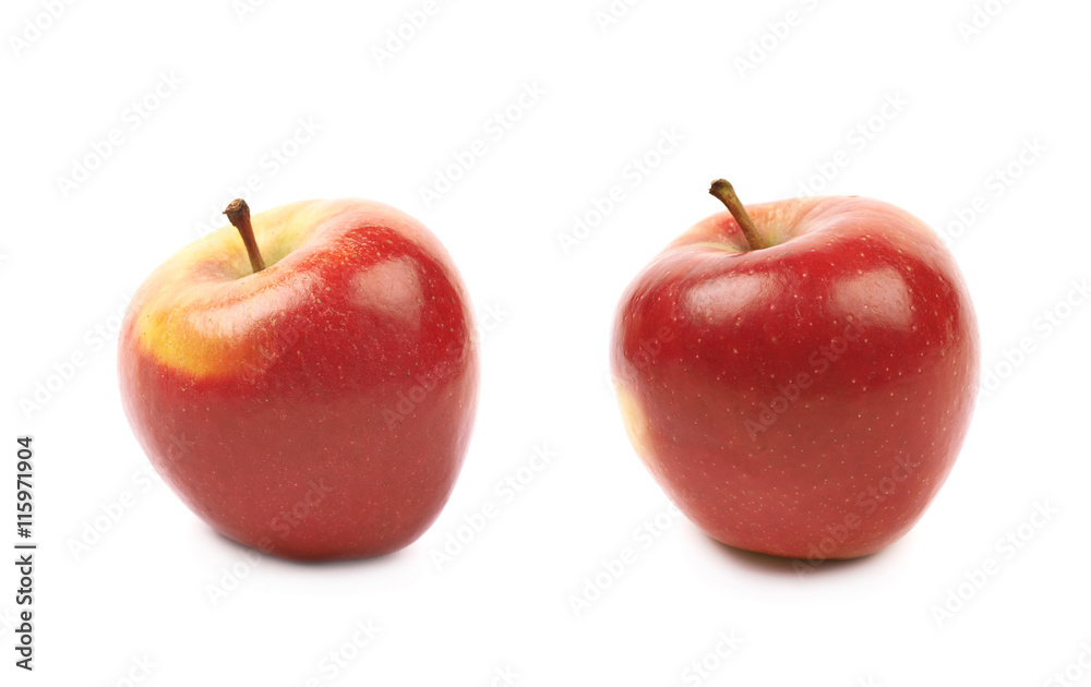 Ripe red and golden jonagold apple Ripe red and golden jonagold apple