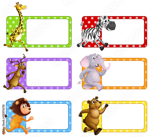 Photography Wild animals on square tags