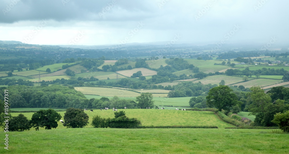 Beautiful countryside landscape in East Devon, England Beautiful countryside landscape in East Devon, England