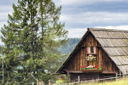 Hübsche Hütte auf einer Alm © Sonja Birkelbach