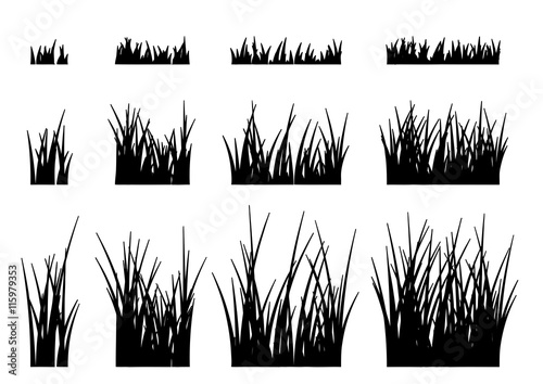 Vector grass isolated on a white background.
grass frame.